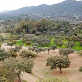 aaaCottage  de 190 hectáreas à vendre à Valle del Guadiato (2531)
