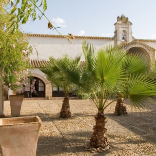 Estate de 86 hectáreas en for sale en Carmona, Seville