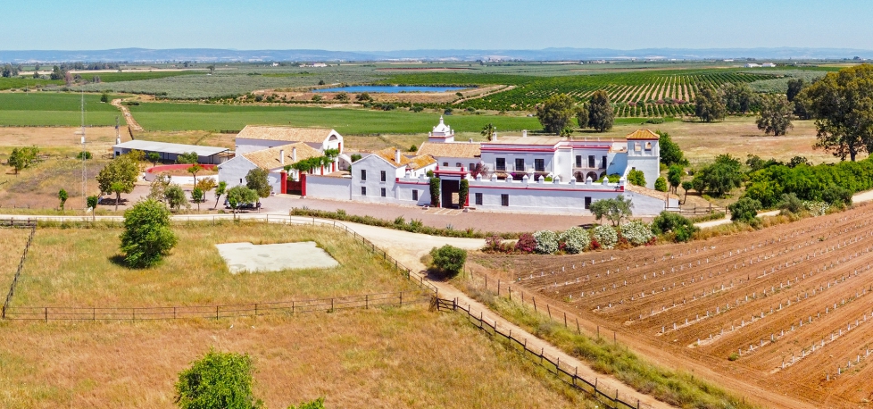 aaaCountry House  de 46 hectáreas for sale at Carmona / Los Alcores (1386)