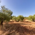 Finca de 300 hectáreas en venta en Sierra Norte, Sevilla