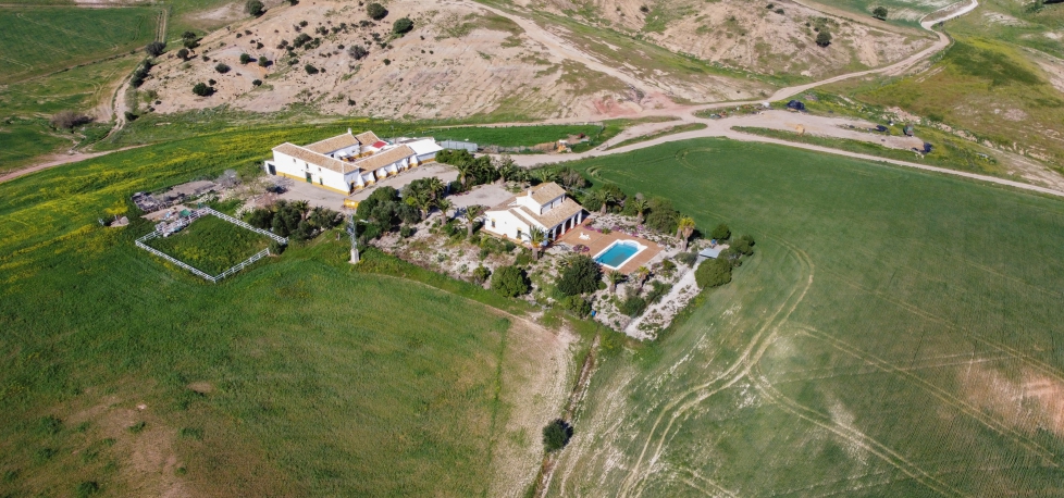 aaaCortijo  de 227 hectáreas en venta en Bajo Guadalquivir (2936)